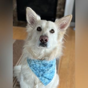 Meet your Posher, Stacey